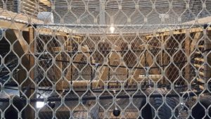 Kabelnetten - Carl Stahl Benelux