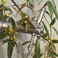 Stainless Steel Greenery System_Carl Stahl DecorCable