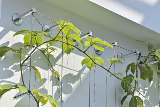 cable system for green wall trellis