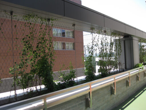 Battery Park City School