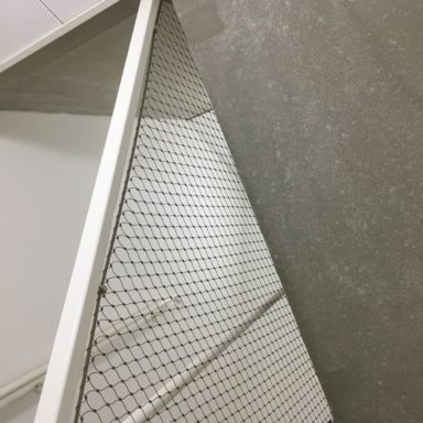 schalmgat-zeeburgereiland