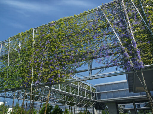 Swiss Re Cable Mesh Green Wall - Carl Stahl