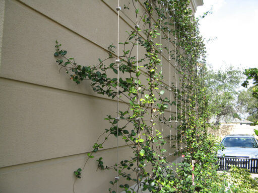 Stainless steel greenery system for retail shopping center - Carl Stahl DecorCable