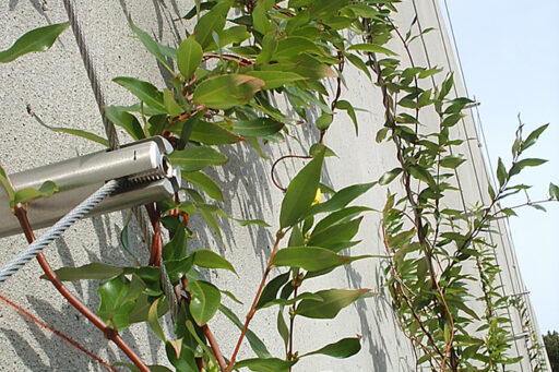 Lou Walker Senior Center Cable Trellis - Carl Stahl DecorCable