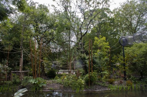 Gibboneiland_Foto ARTIS, Anique van der Kuil