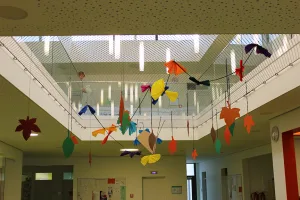 Safety Mesh from Carl Stahl