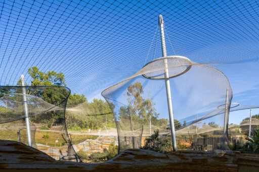 San Diego Zoo Africa Rocks Exhibit