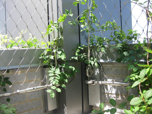 Battery Park City School