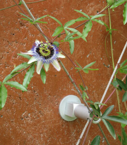 Greencable aluminum standoff_Carl Stahl DecorCable